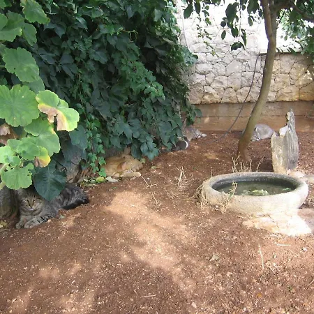 Apartment With A Parking Space Lumbarda, Korcula - 18037