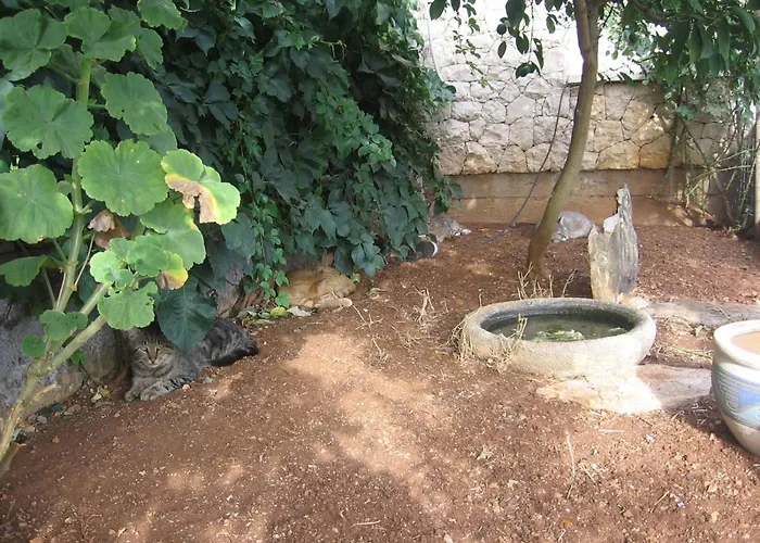 Apartman With Parking Space Lumbarda, Korcula - 18037